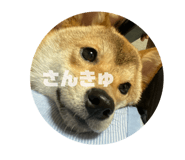 785825968