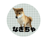 785825970