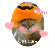 785827245