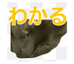 785831343