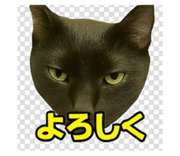 785831345