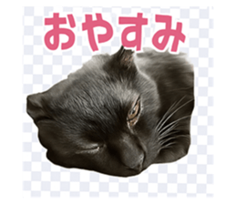 785831348