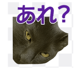 785831350