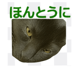 785831351