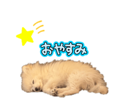 785833085