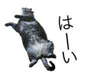 785864829
