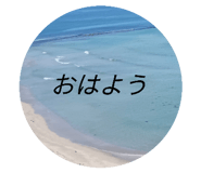 785881441