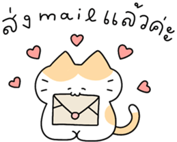 ลายที่ 13