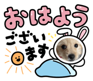 785914831