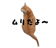 785915490