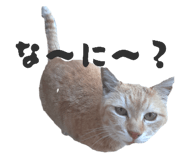 785915492