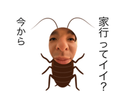 785915843