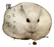 785916311