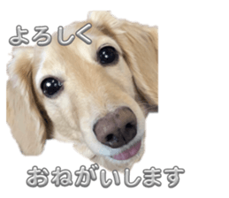 785923501
