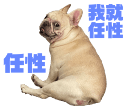 785940022