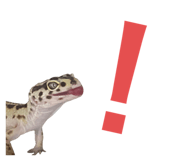 785948500