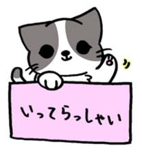 7859497