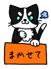 7859524