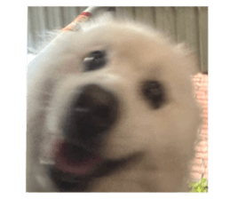 785955637