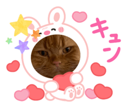 785960514