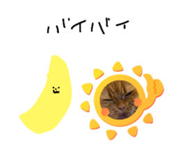 785960520
