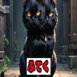 785975126