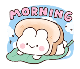 ลายที่ 17