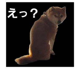 786009353