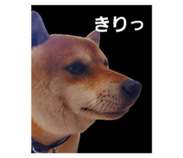 786009355
