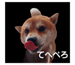 786009356