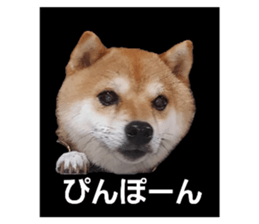 786009360