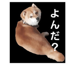 786009364
