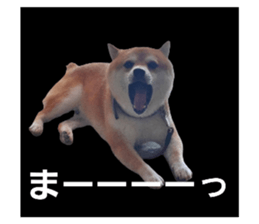 786009365