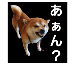 786009366