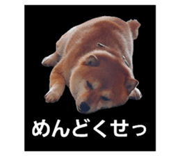 786009367