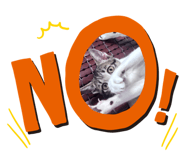 786011444