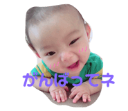 78604103
