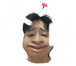 786050493