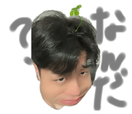 786050494