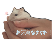 786058873