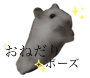 786058875