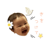 786063579