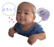 786075034
