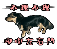 786076050