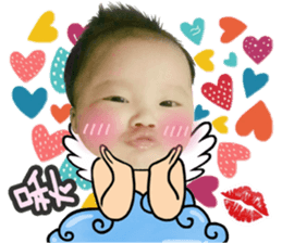 78608362