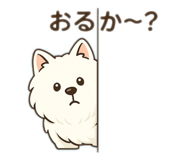 786086960