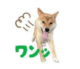 786111403
