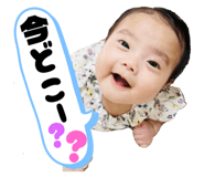 786111501