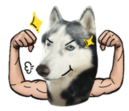 786133597