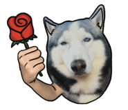 786133598
